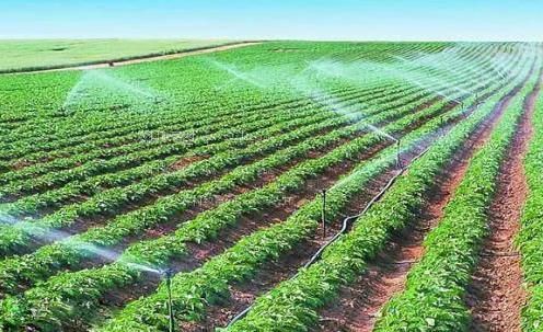 亚洲人小屄屄视频农田高 效节水灌溉